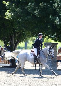 photo by Marion Murphy spotlight rider gray