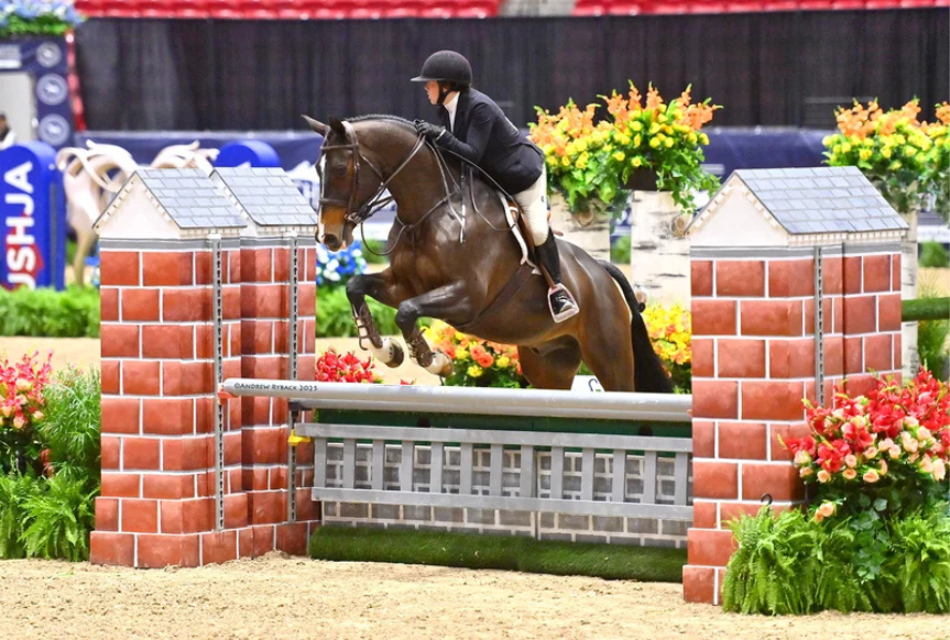 a0361133-ae4f-7d94-71c7-914fdc7d4604 a0361133-ae4f-7d94-71c7-914fdc7d4604