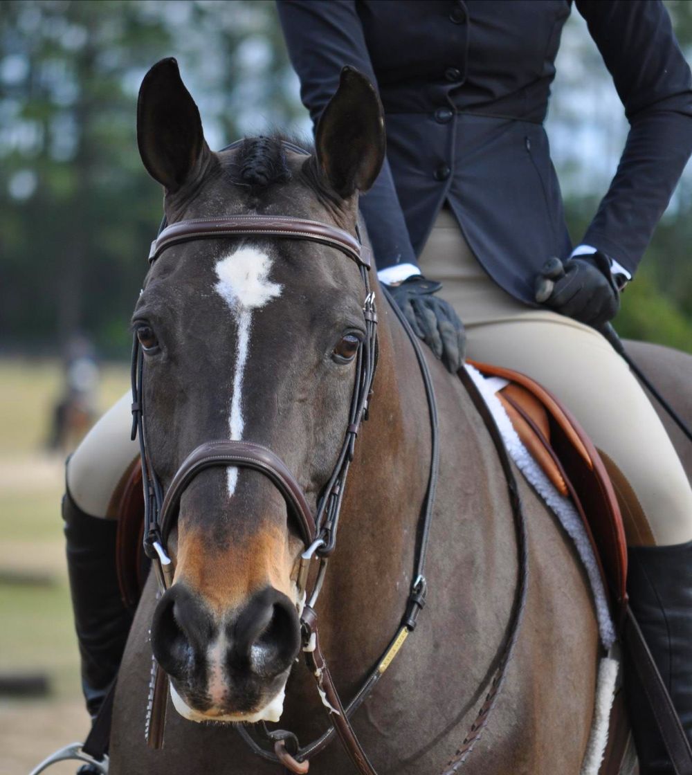 a4a4b170-b772-d097-d41a-7bb7caf6d7b5