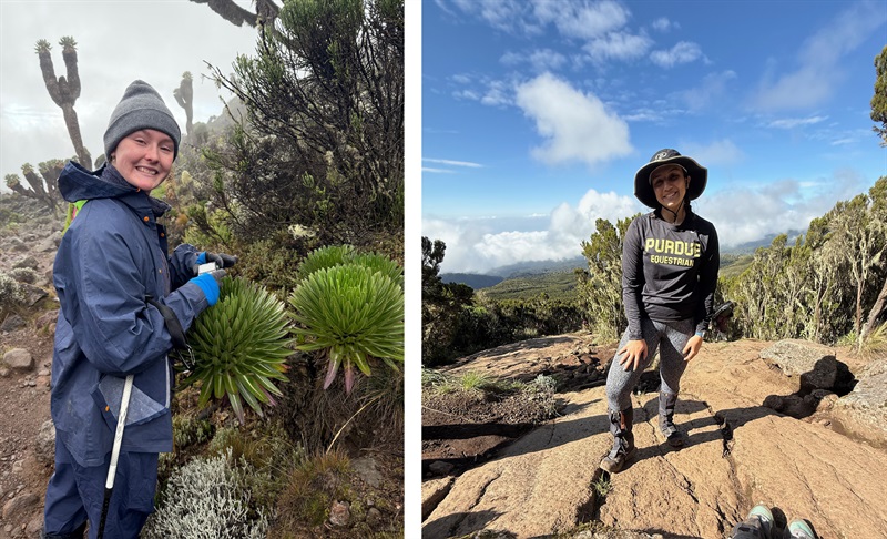 AudreyIMG_1602 copy AudreyIMG_1602 copy