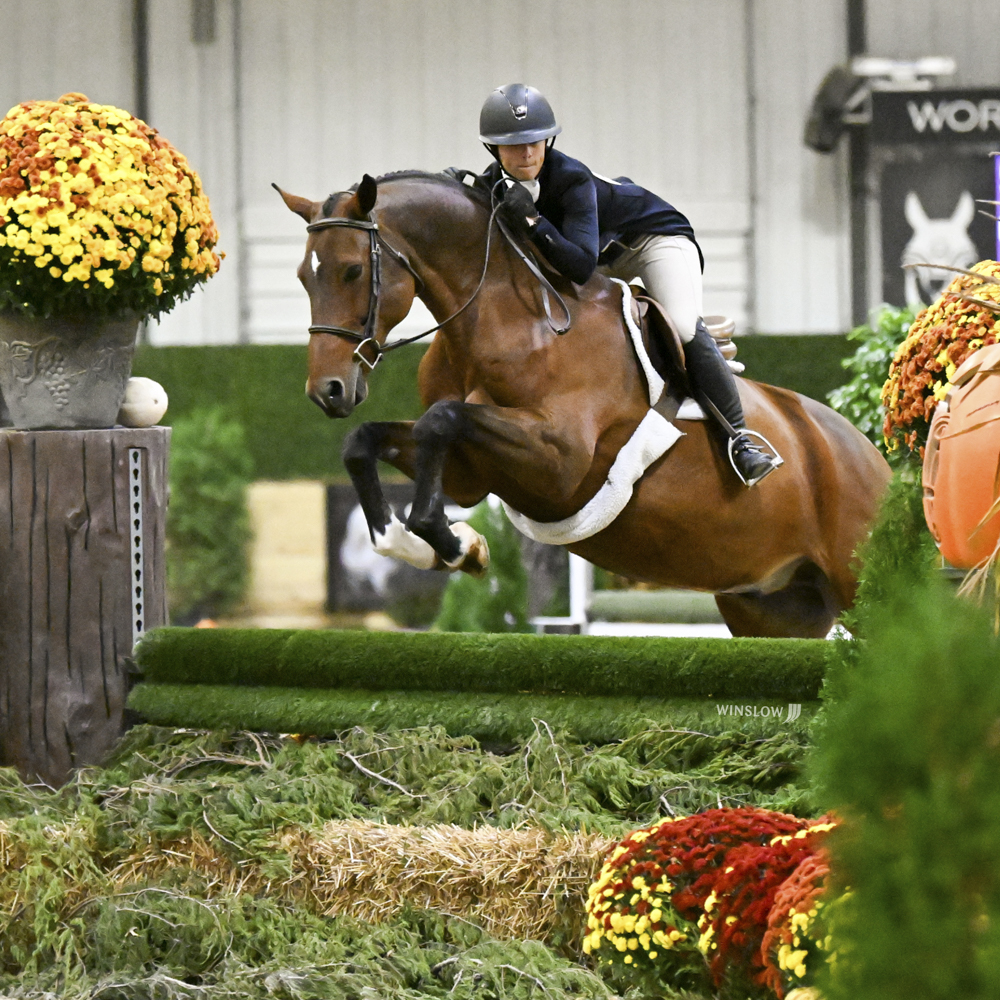 Francoe and Tess WEC falledit