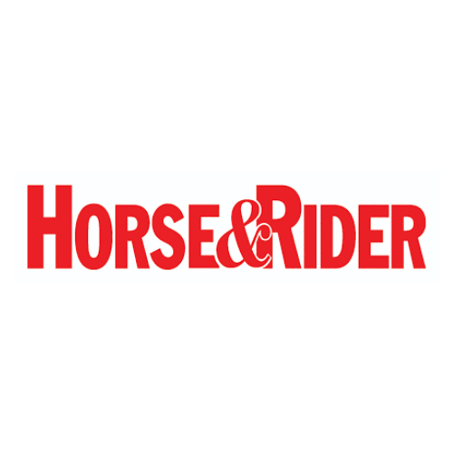 Horseandrider_sized