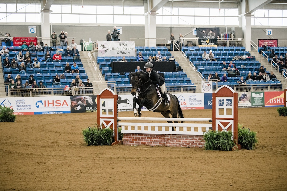 Houdini - Centenary University - Cacchione Cup Work Off - High Point Horse - Credit EQ Media