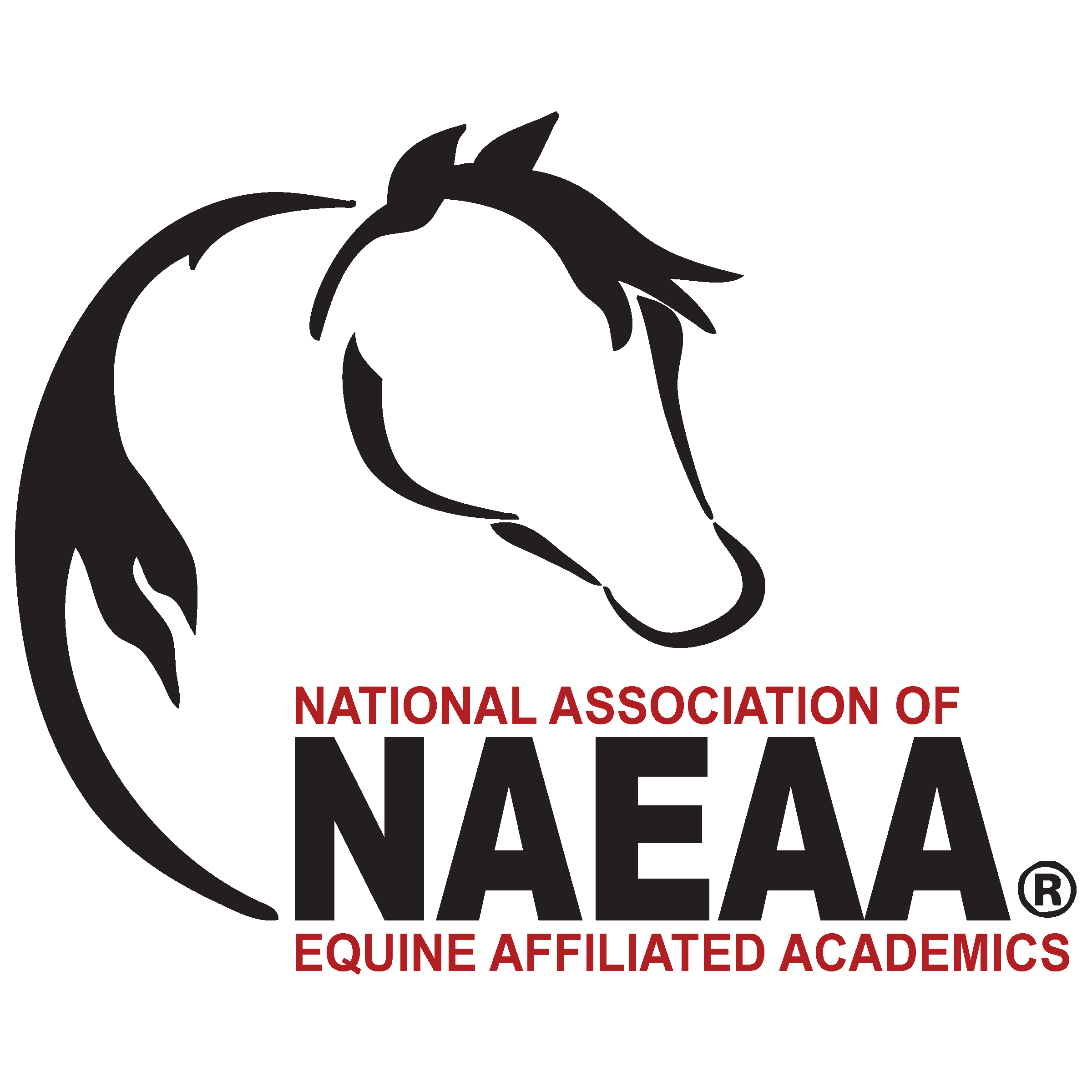 NAEAA logo