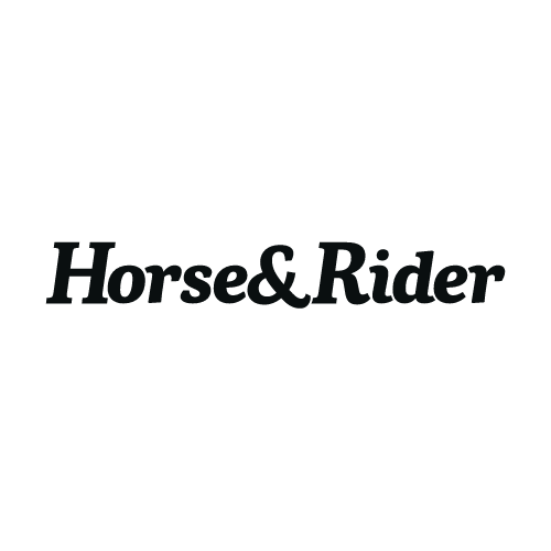 Horse and Rider