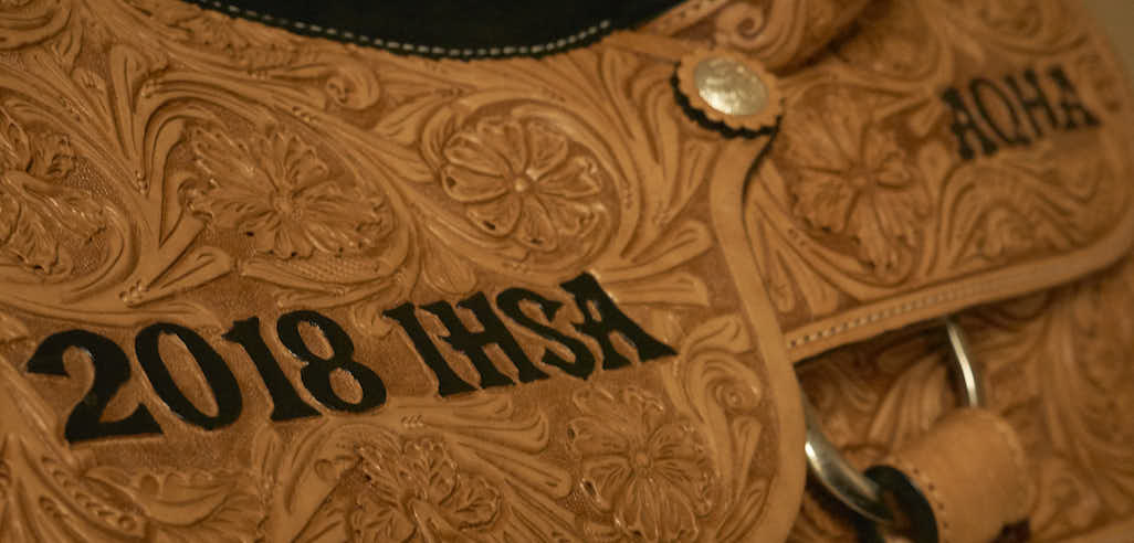 aqha saddle 1 credit lisa giris copy