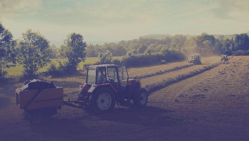 eastern hay official hay provider of the ihsa