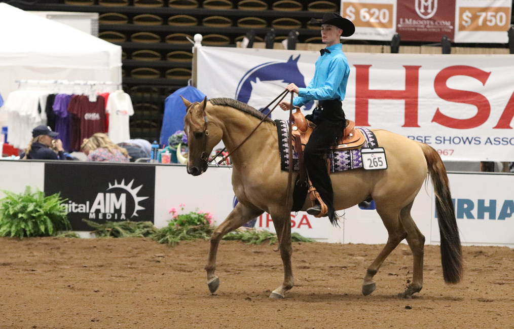 JamieKittle-jog-Findlay-IndAdvancedHorsemanship-alcookphoto